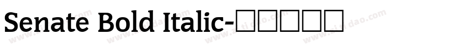 Senate Bold Italic字体转换